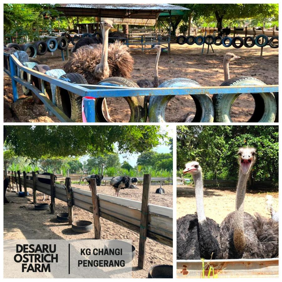 Desaru, Bayu Balau Beach Resort Bandar Penawar Екстериор снимка